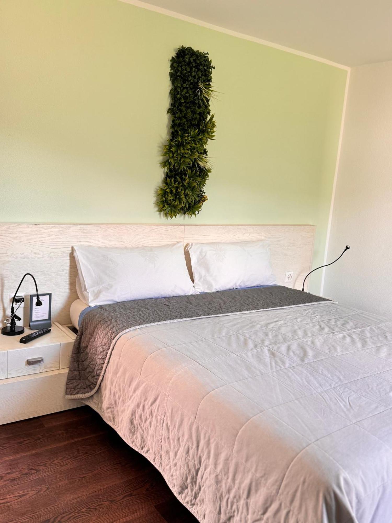 Viva Bacco Bed & Breakfast Gambarogno Exterior photo