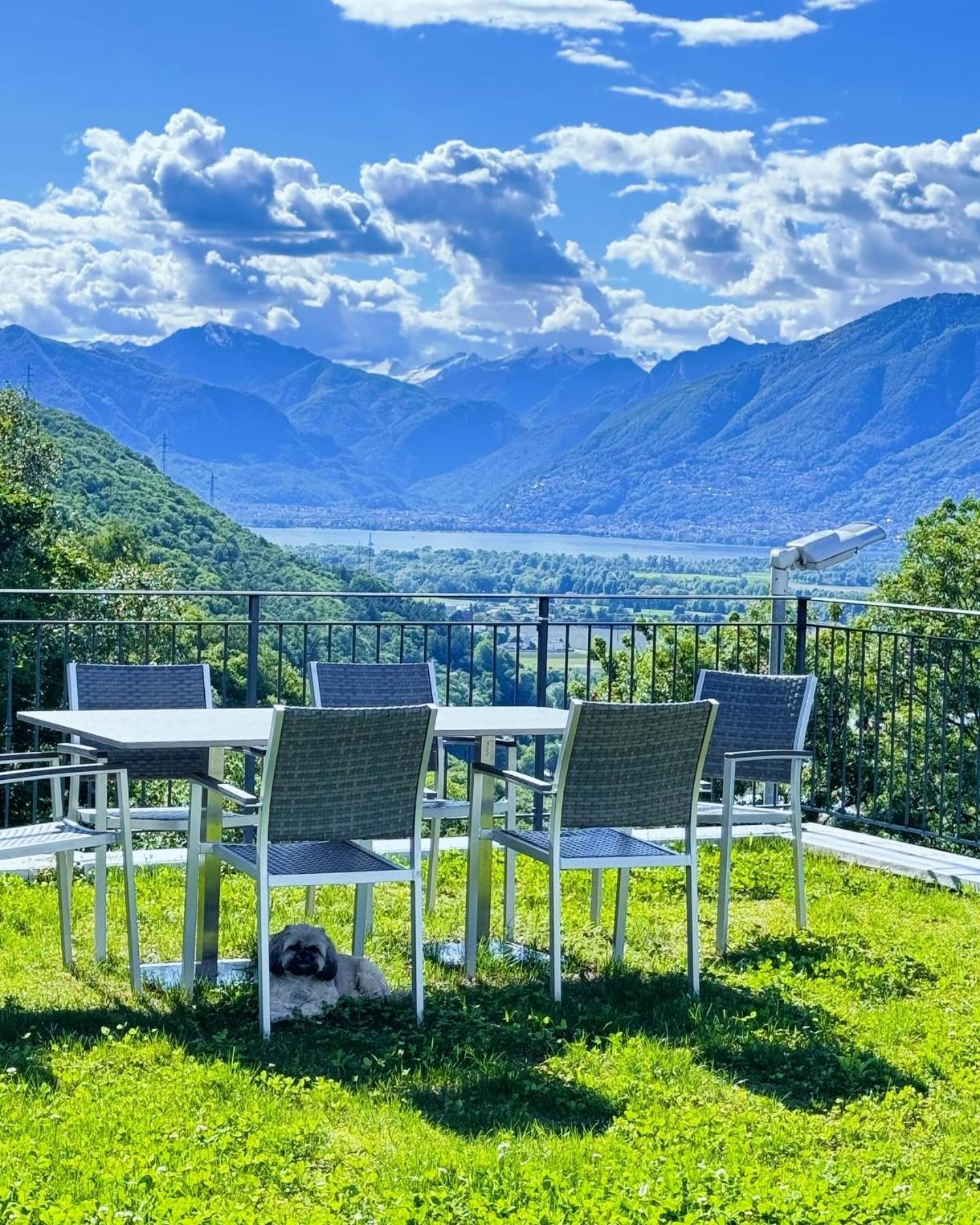 Viva Bacco Bed & Breakfast Gambarogno Exterior photo