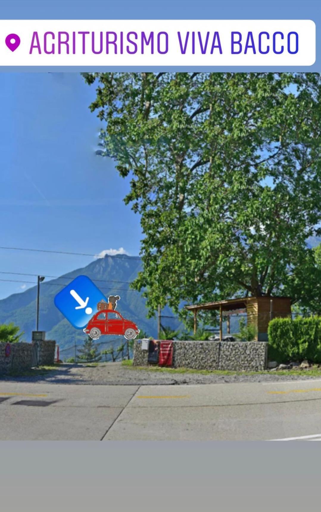 Viva Bacco Bed & Breakfast Gambarogno Exterior photo