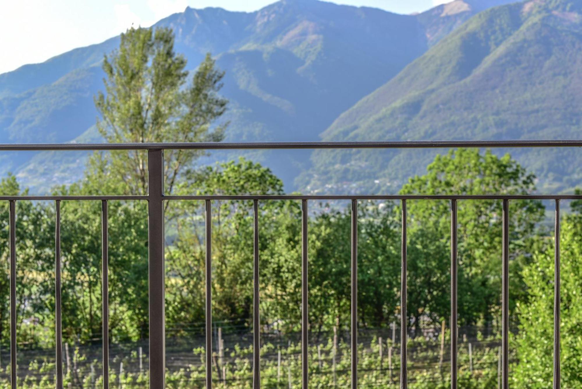 Viva Bacco Bed & Breakfast Gambarogno Exterior photo