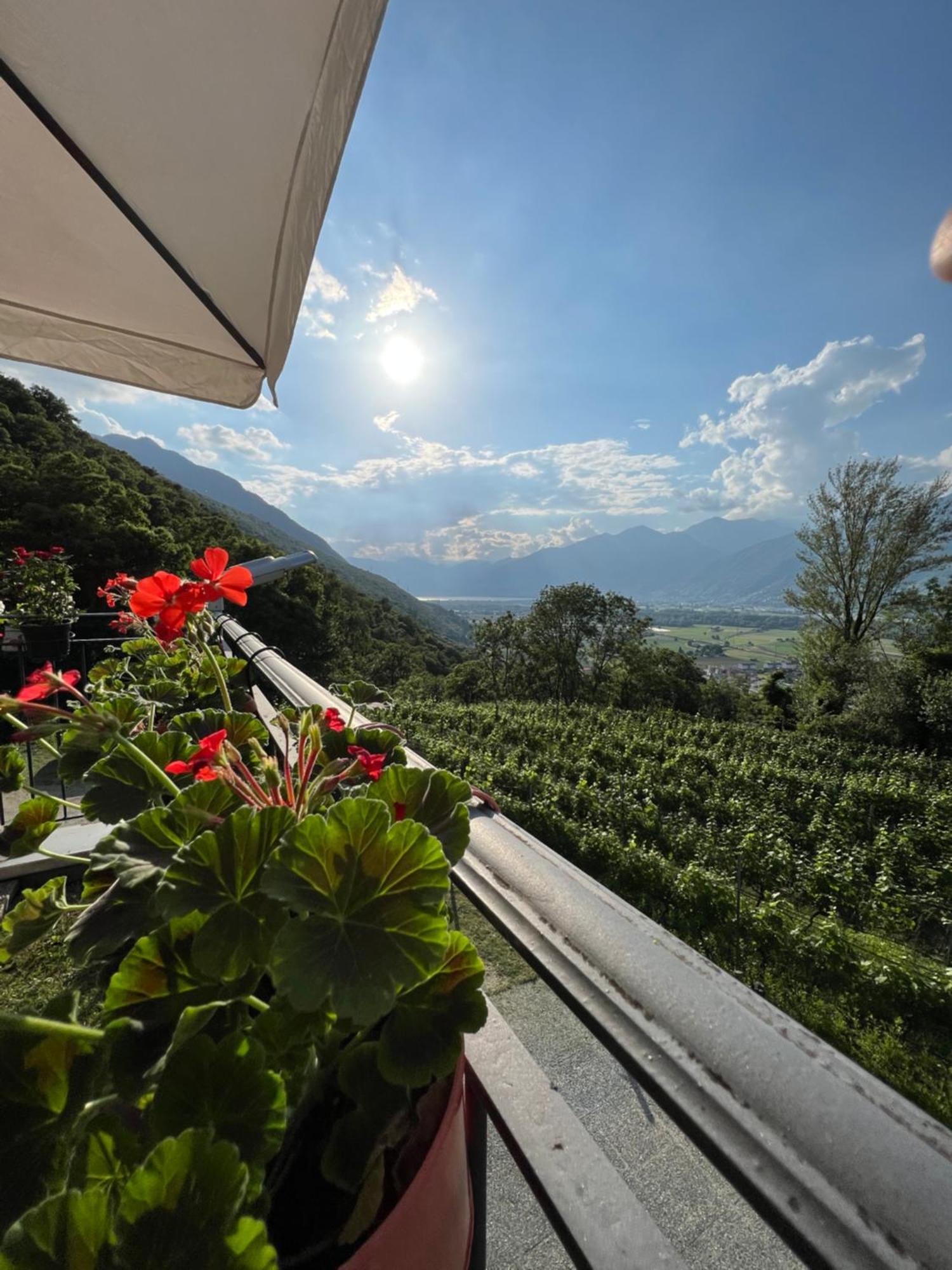 Viva Bacco Bed & Breakfast Gambarogno Exterior photo