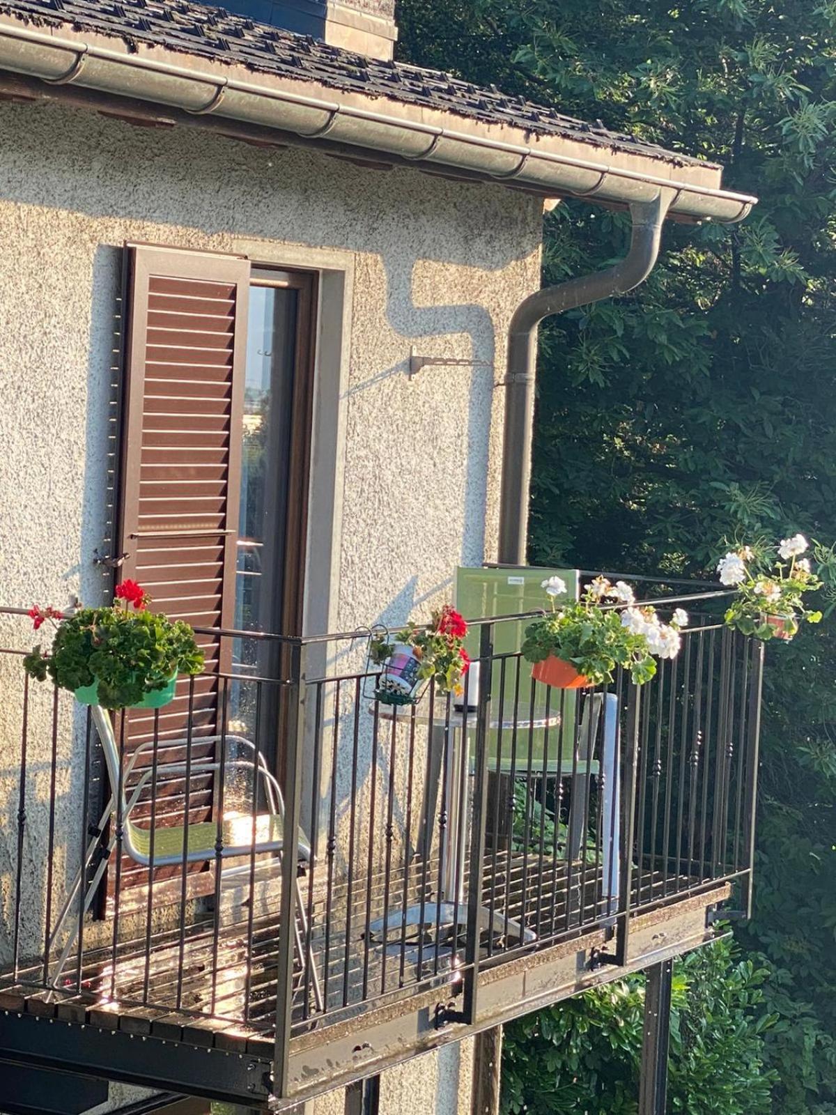 Viva Bacco Bed & Breakfast Gambarogno Exterior photo