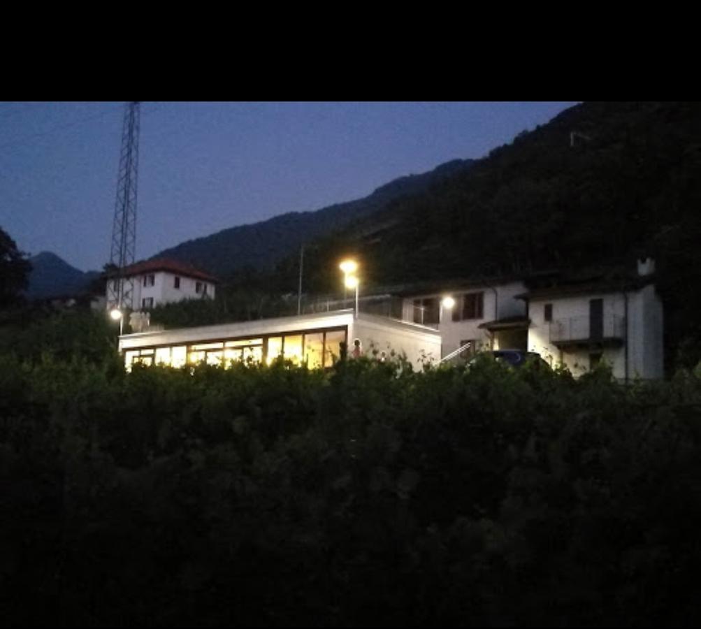 Viva Bacco Bed & Breakfast Gambarogno Exterior photo