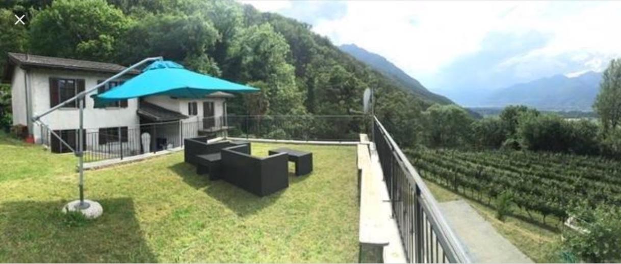 Viva Bacco Bed & Breakfast Gambarogno Exterior photo