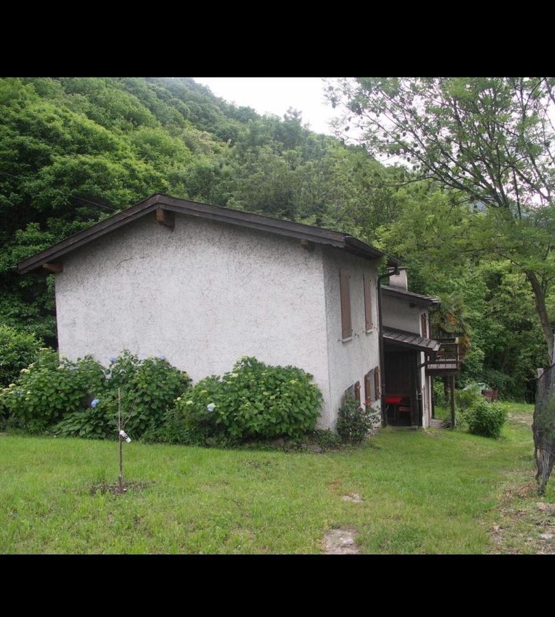 Viva Bacco Bed & Breakfast Gambarogno Exterior photo