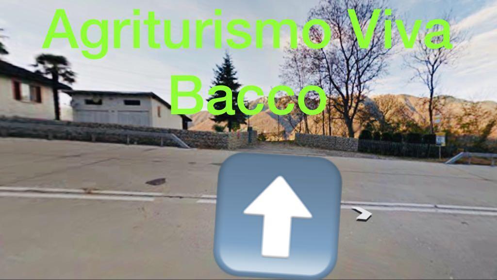 Viva Bacco Bed & Breakfast Gambarogno Exterior photo